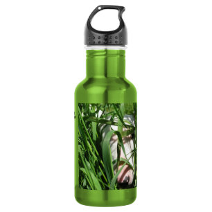 Create Your Own Photo-English Bull Terrier Hiding 532 Ml Water Bottle