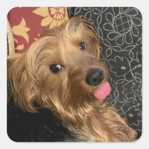 Create Your Own Photo Family Pet Baby Square Sticker
