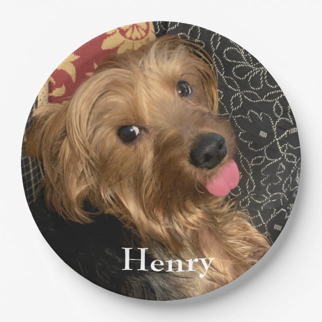 Create Your Own Photo Family Pet Paper Plate (Front)