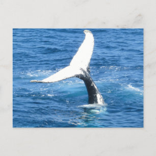 Create Your Own Photo Greeting Card