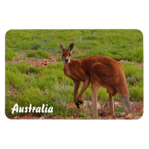 Create your own photo magnet