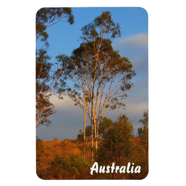 Create your own photo magnet (Vertical)