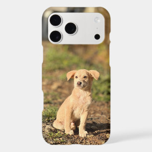 Create Your Own Photo Modern Custom iPhone Case
