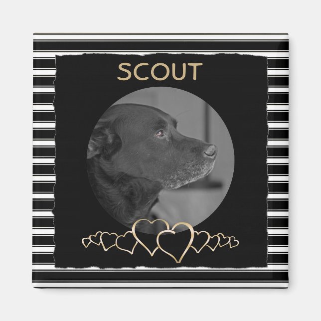 Create Your Own Photo | Personalised Pet Keepsake Magnet (Front)