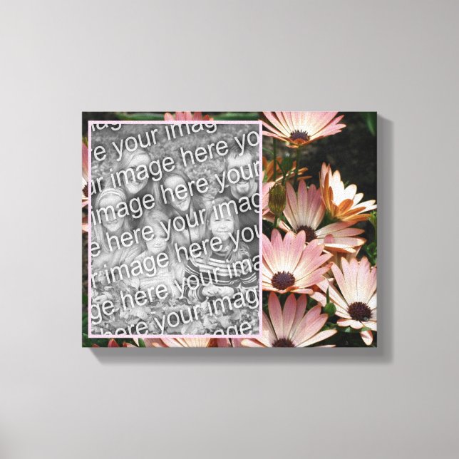 Create Your Own Photo Pink African Daisy Flowers  Canvas Print (Front)