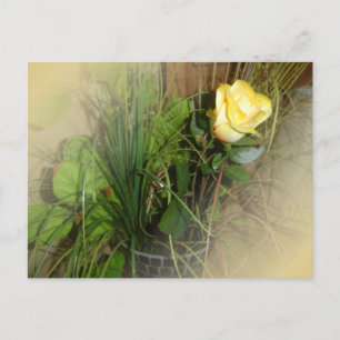 CREATE YOUR OWN PHOTO POSTCARD
