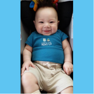 Create Your Own Photo Sculpture