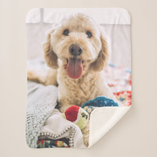 Create Your Own Photo Sherpa Blanket