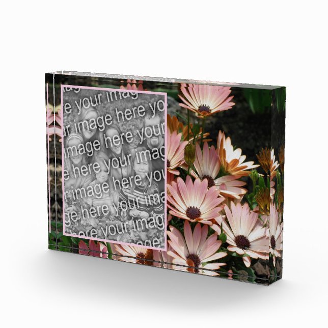 Create Your Own Pink African Daisy Flowers  Photo Block (Right)