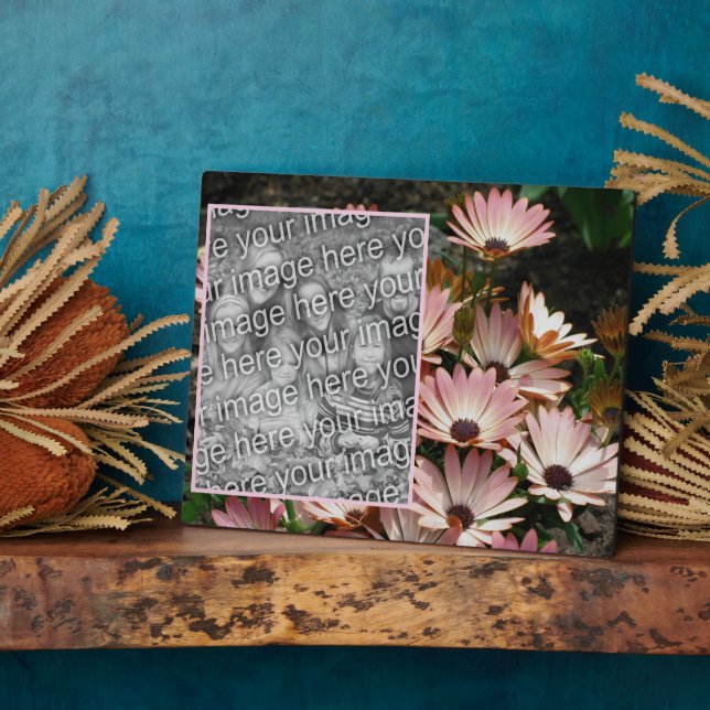 Create Your Own Pink African Daisy Flowers Photo Plaque (Side)