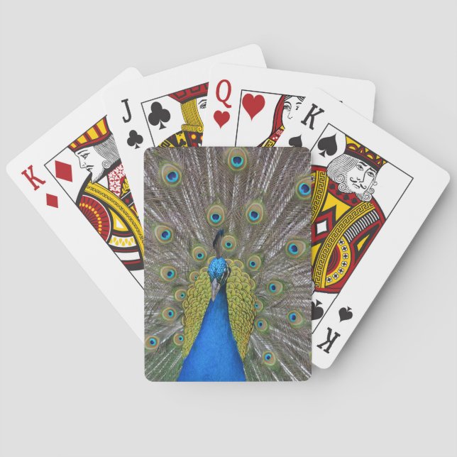 Create Your Own  Playing Cards (Back)