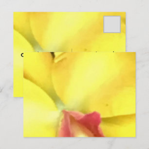 CREATE YOUR OWN POSTCARDS