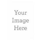 Create Your Own Poster