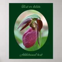 Create Your Own Quote Pink Lady Slipper Flower