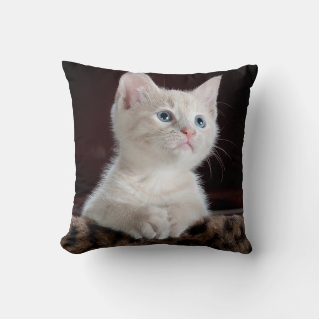 Create Your Own Simple Custom 16" x 16" Cushion (Front)