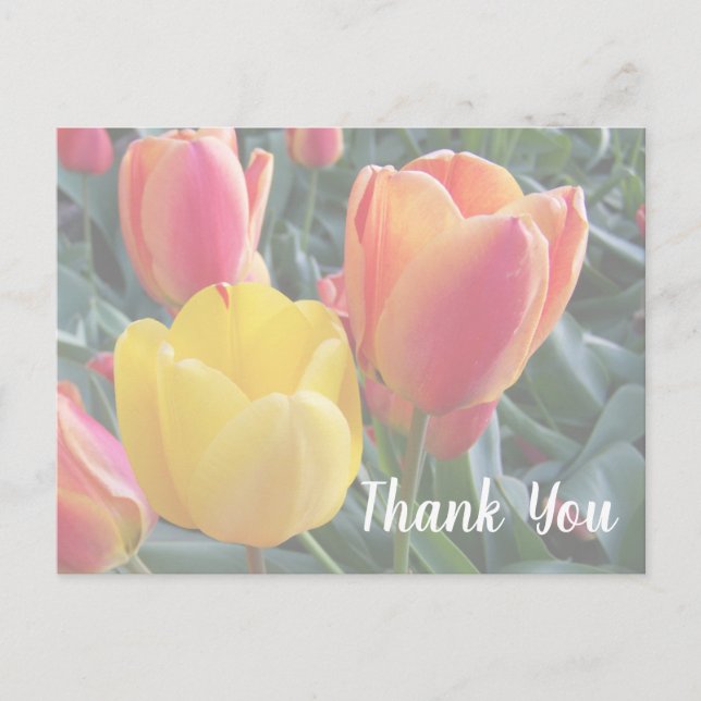 Create Your Own Soft Colours Photo Thank You Postcard (Front)