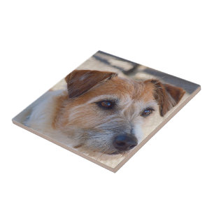 Create your own square tile - cute dog