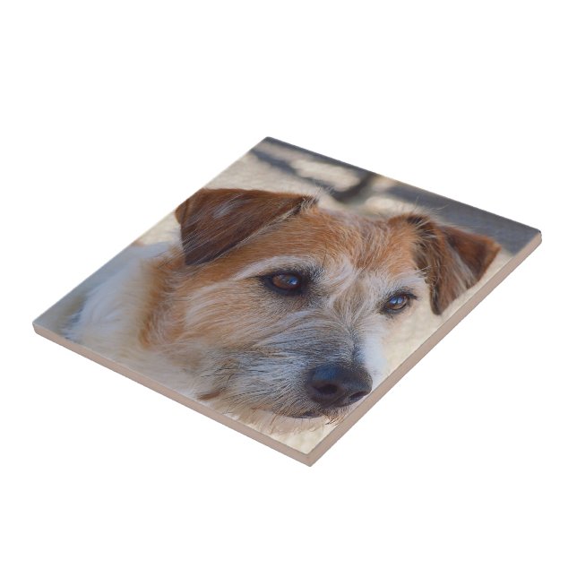 Create your own square tile - cute dog (Side)