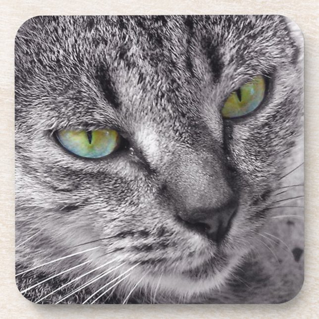 Create your own Tabby cat drink coaster set (Front)