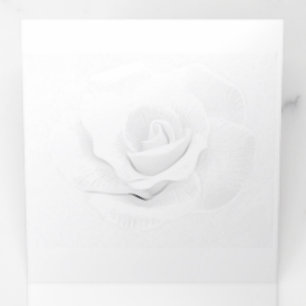 Create Your Own - Tri-Fold Programme