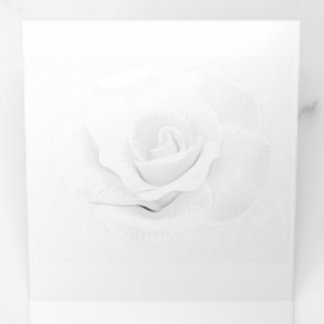 Create Your Own - Tri-Fold Programme