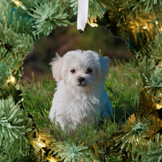 Create Your Own Two-sided Dog Photos Tree Decoration Card