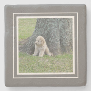 Create Your Own Your Photo Farmhouse Grey & White Stone Coaster