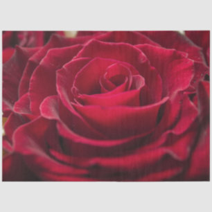 Created for you elegant photo greeting personalise tissue paper
