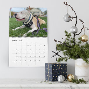 Creating Dog Memories Personalised Calendar