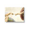 Creation of Adam Hands - Michelangelo