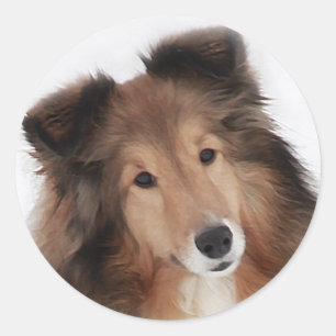 Creation of Shelties Classic Round Sticker