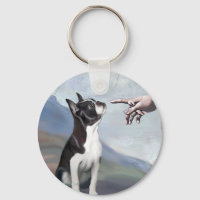 Creation of the Boston Terrier (#3)