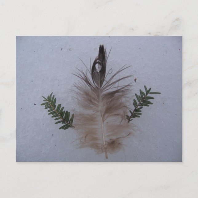 creation postcard (Front)
