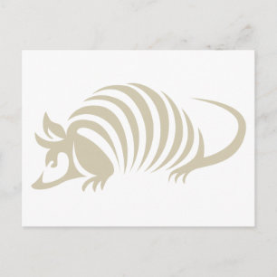 Creative Armadillo Illustration Postcard