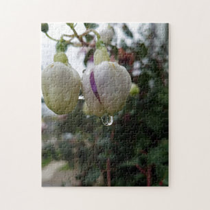 Creative bud fuchsia flower photo jigsaw puzzle