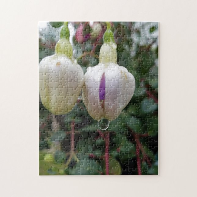 Creative bud fuchsia flower photo jigsaw puzzle (Vertical)
