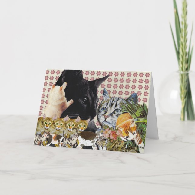Creative Cats Greeting Card (Front)