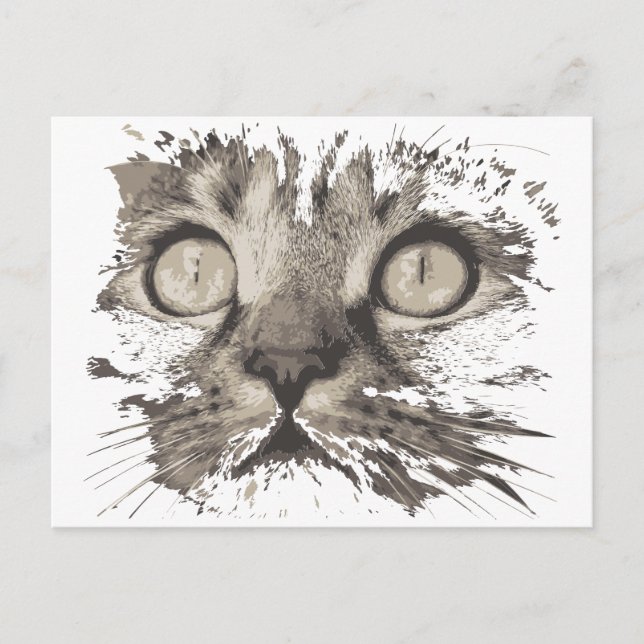 Creative drawing cat postcard (Front)