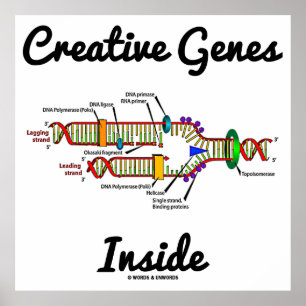 Creative Genes Inside (DNA Replication) Poster