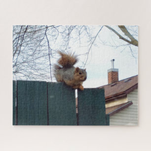 Creative landscape squirrel photo jigsaw puzzle