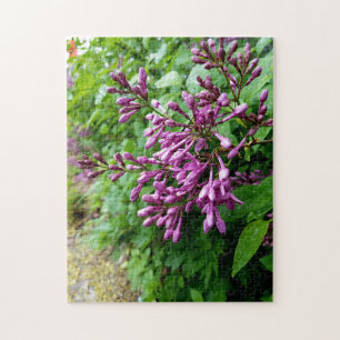 Creative light purple lilac photo jigsaw puzzle