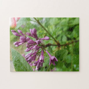 Creative light purple lilac photo jigsaw puzzle