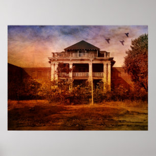 Creative Madness-Asylum Poster