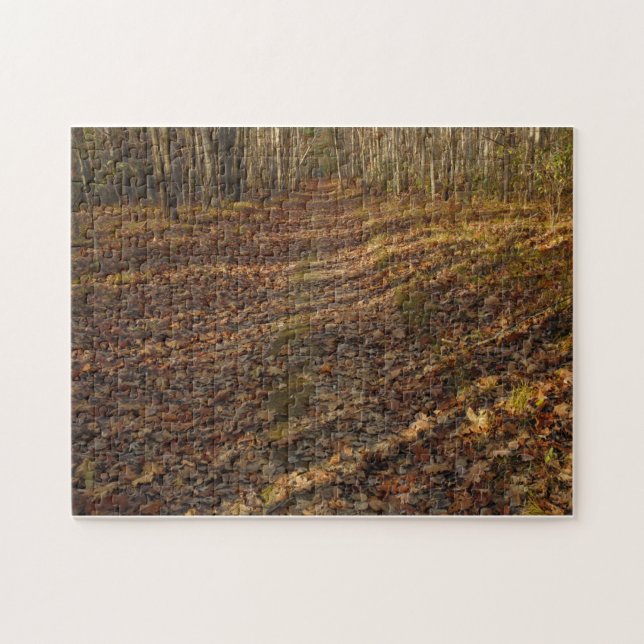 Creative pattern jigsaw puzzle (Horizontal)