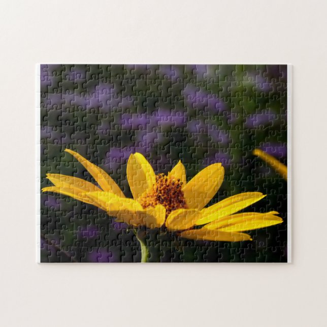 Creative pattern jigsaw puzzle (Horizontal)