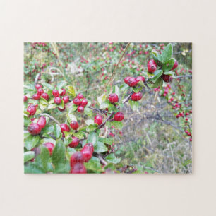 Creative red berries woods photo jigsaw puzzle