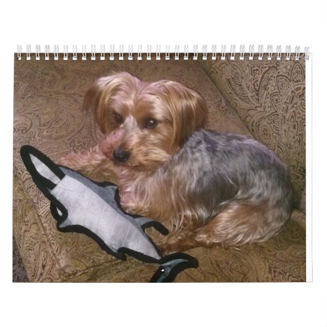 Creative Westie/Yorkie 12 Month Calendar (Cover)