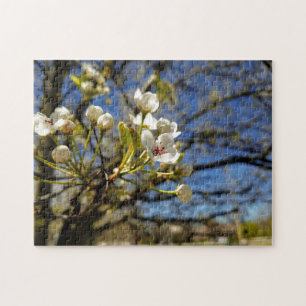 Creative white tree flower photo jigsaw puzzle