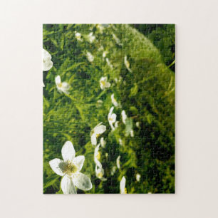Creative wild flower walk photo jigsaw puzzle