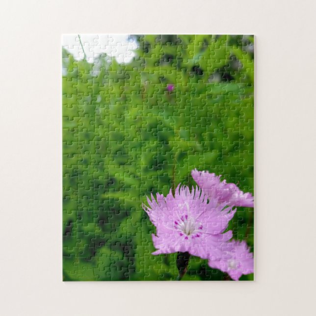 Creative wild flower walk photo jigsaw puzzle (Vertical)